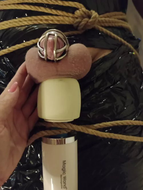 I will have a great time with your mummified body and your balls trapped here.