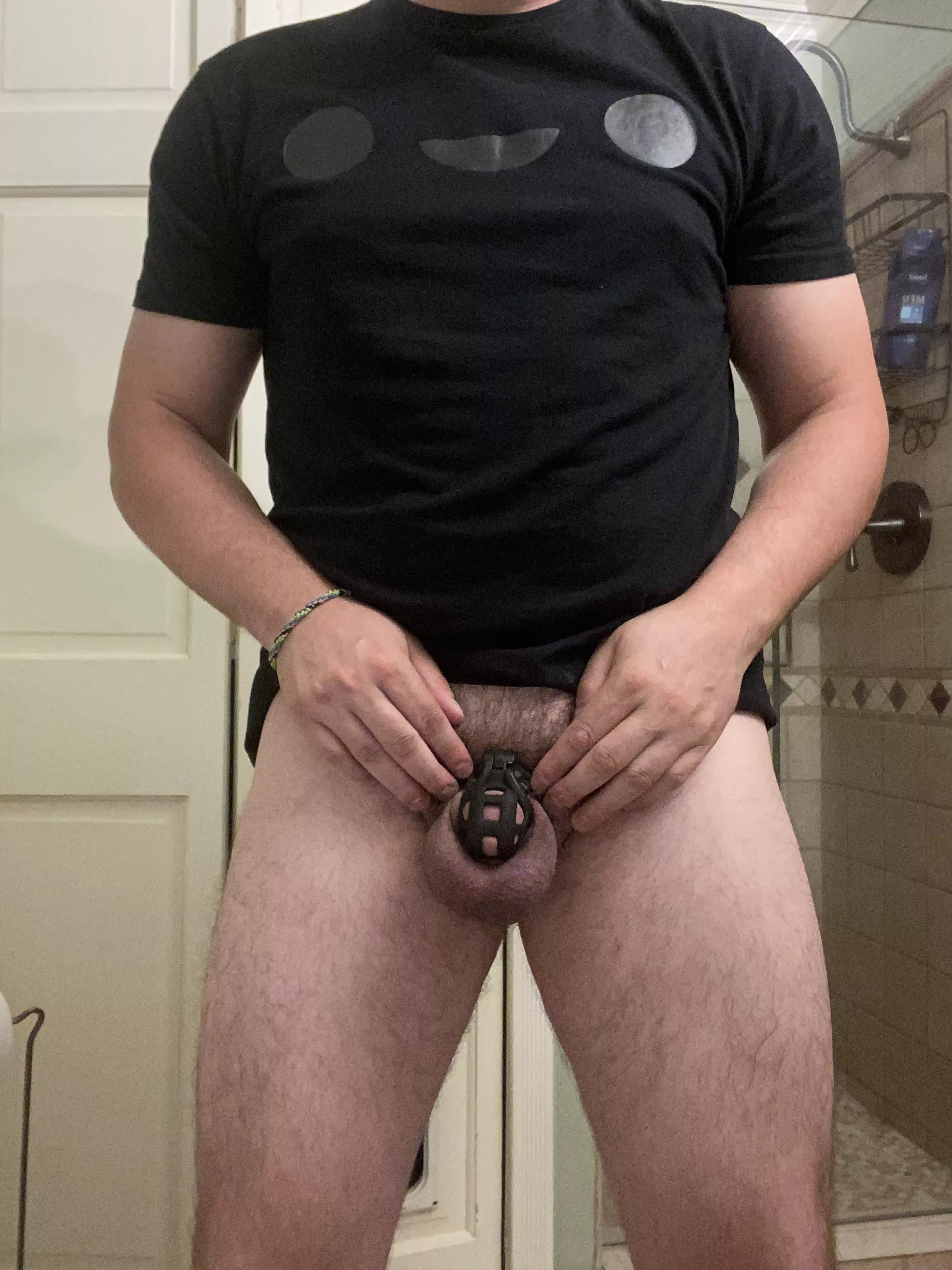 This new cage is so comfortable….I could be locked up a while 😳