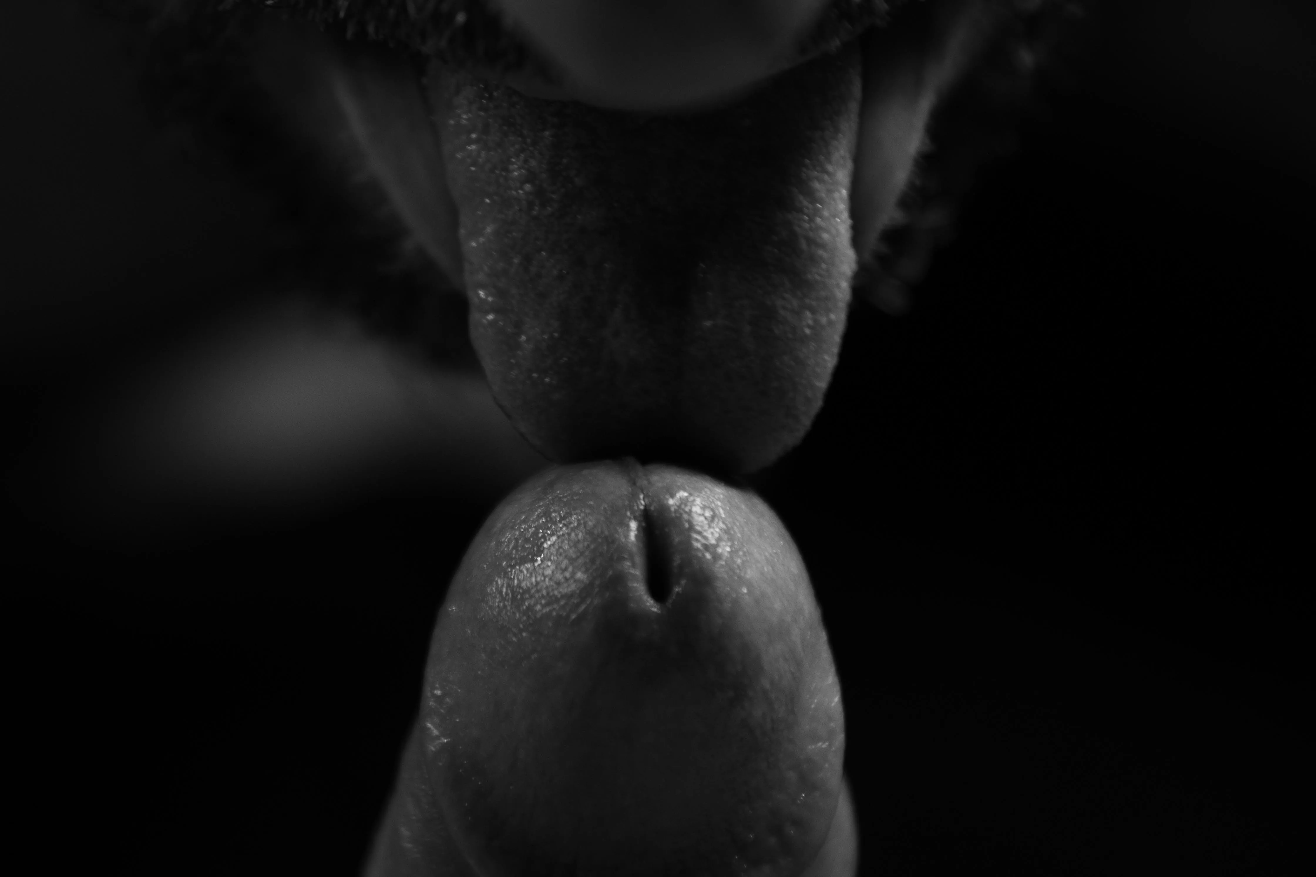 Until the very last drop