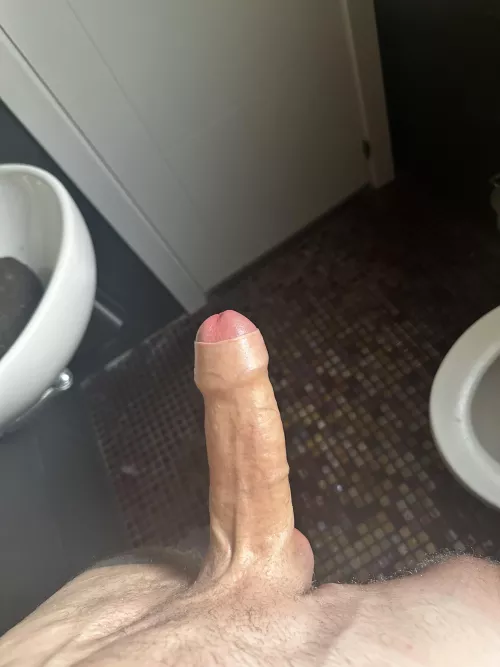Veiny foreskin