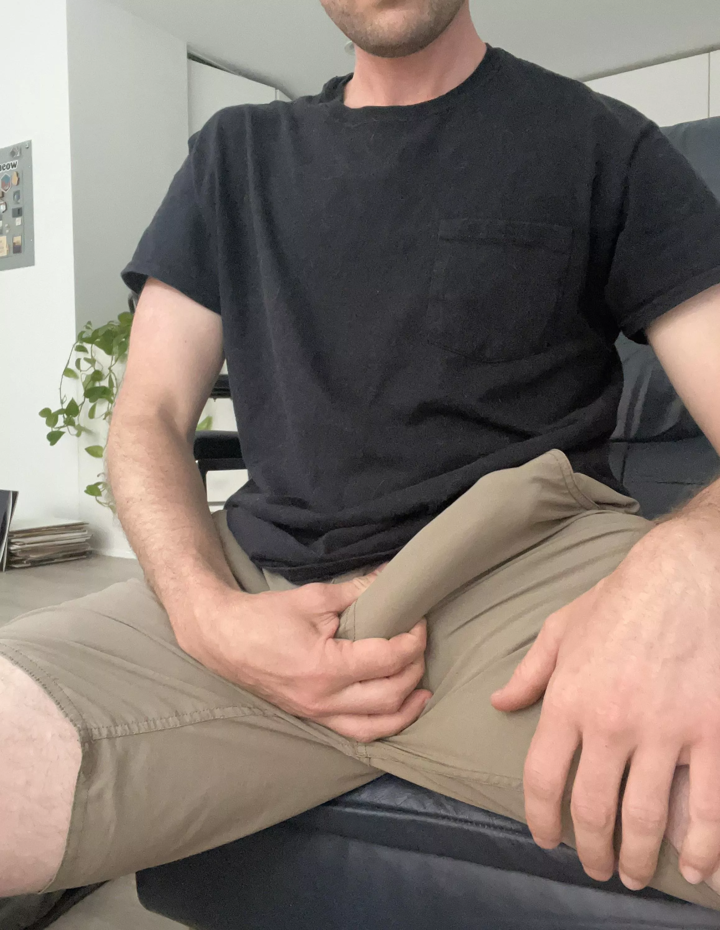 Are these shorts appropriate for public?