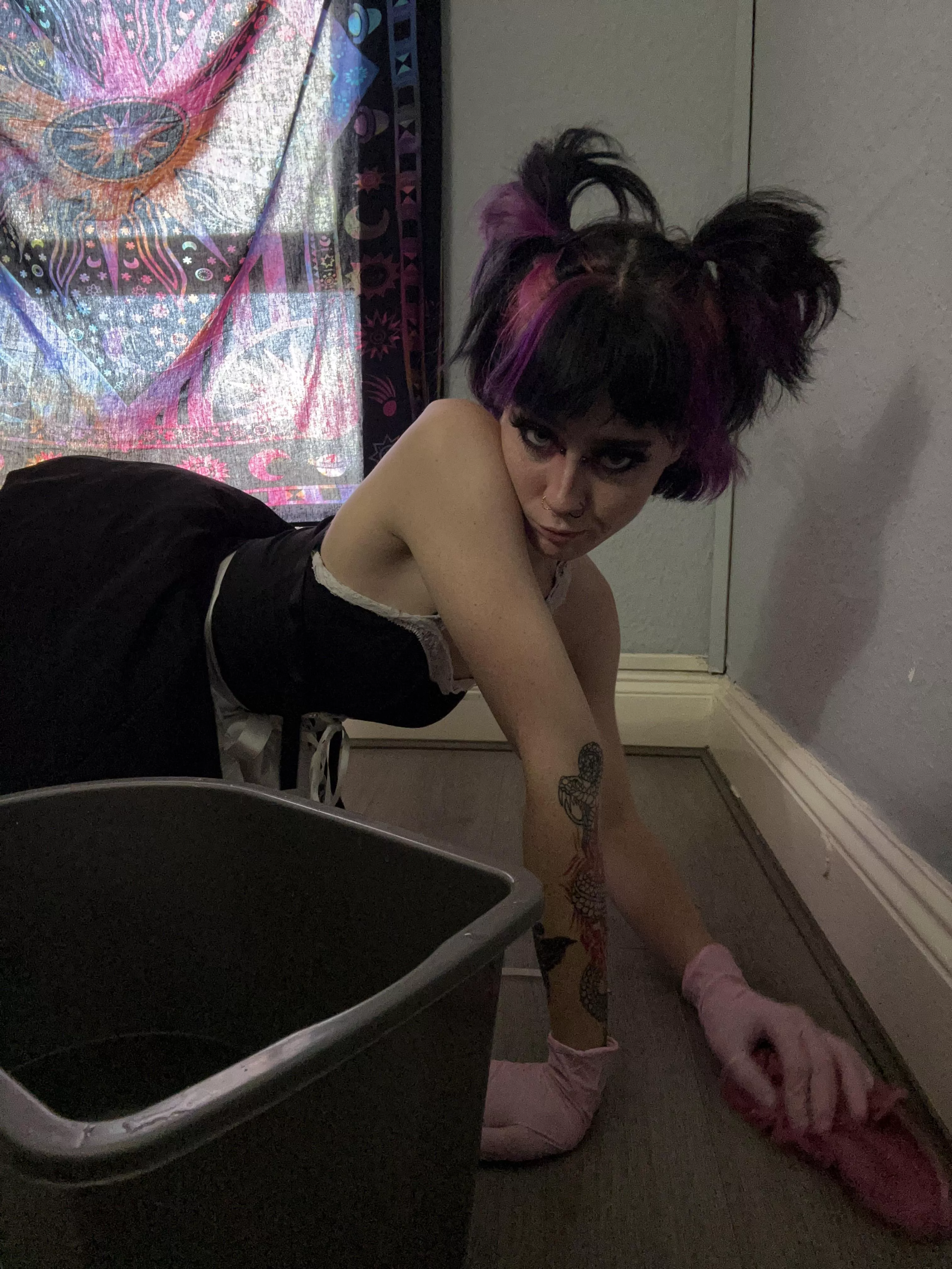 Just thinking about licking your dick clean while I clean your floors 🧼💦✨