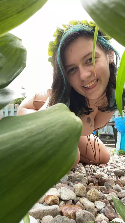 Your local druid is looking for herbs. Can I get some help?