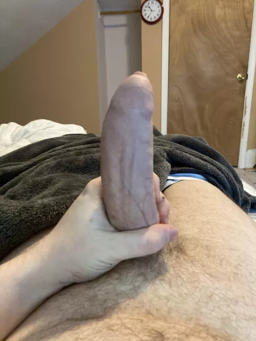 [31] hung uncut for little bro cocksucker or dad