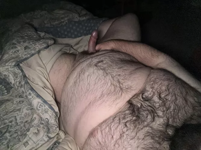 All these bbws are getting me hot and bothered