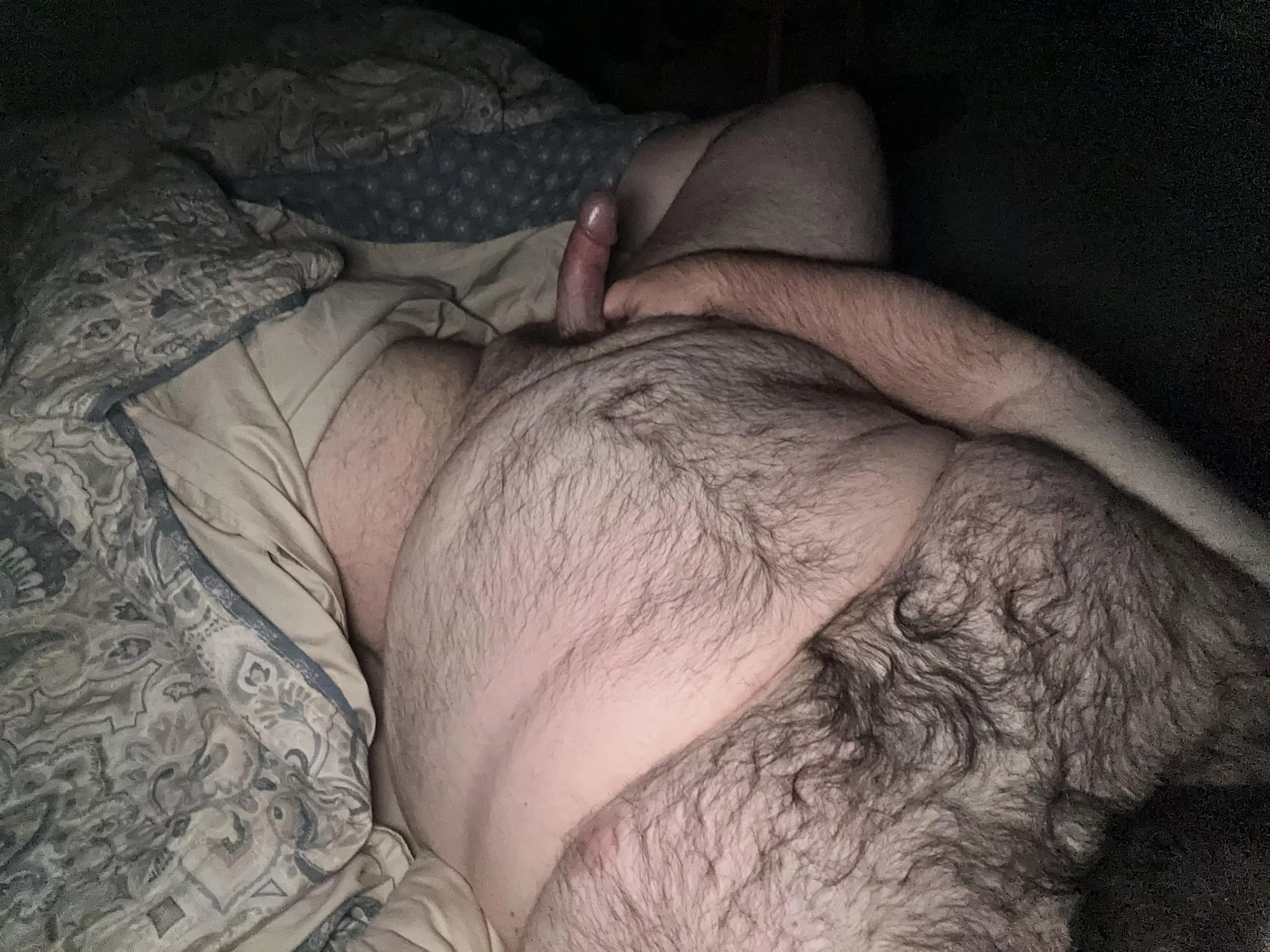 All these bbws are getting me hot and bothered