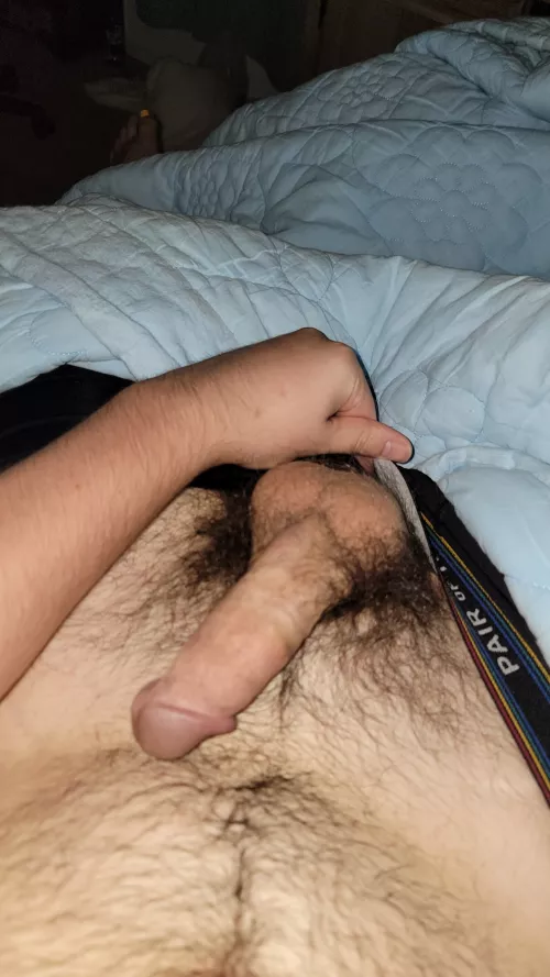 Bush is getting so thick