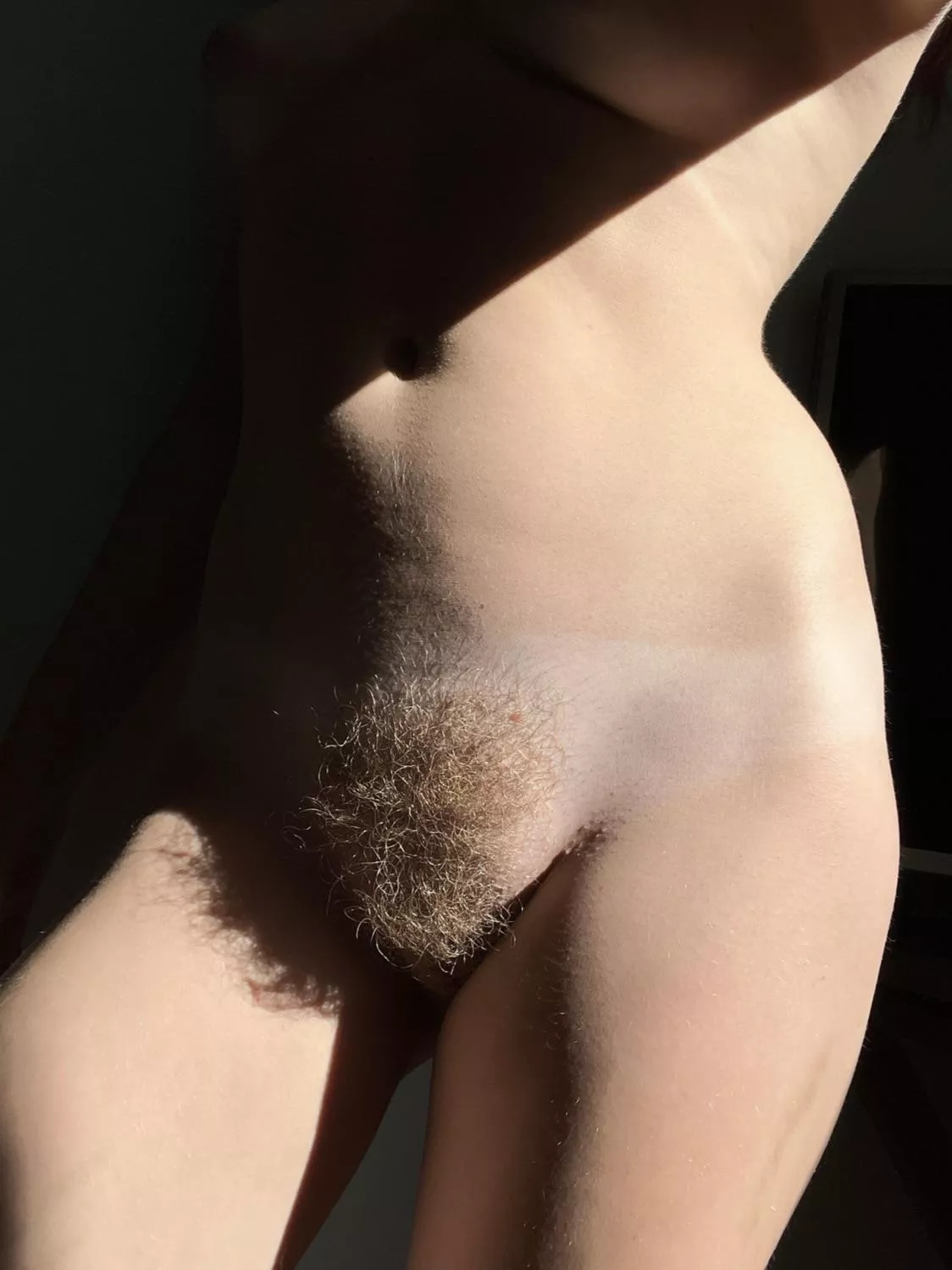 Do you like ginger bush?