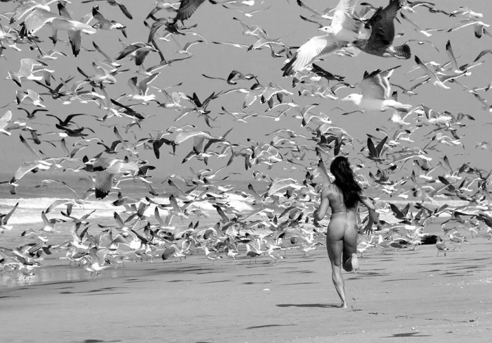 Erin Running With the Gulls in Monterey, by Russell Levin
