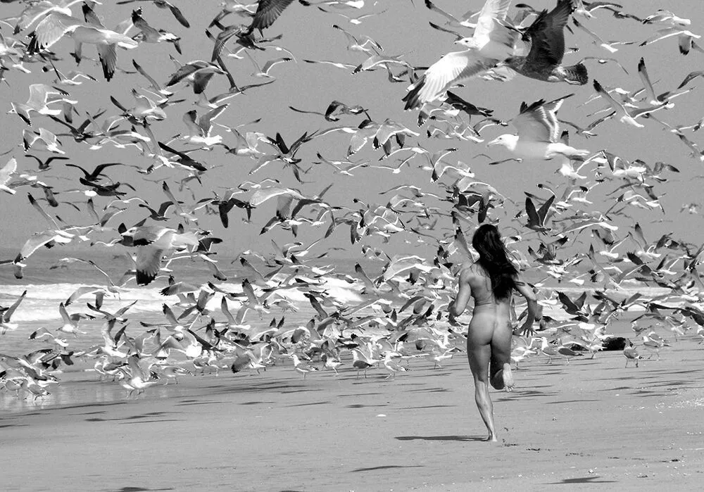 Erin Running With the Gulls in Monterey, by Russell Levin