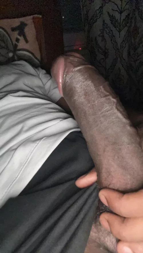 hung like a horse [m]