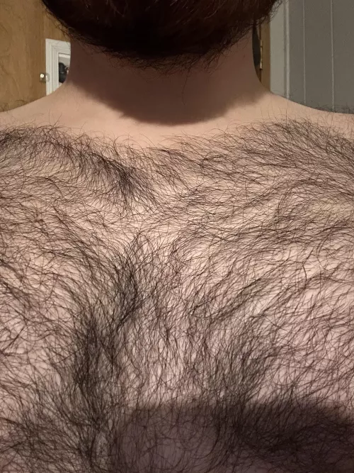 If you have chest hair and keep it trimmed what guard/level do you prefer?