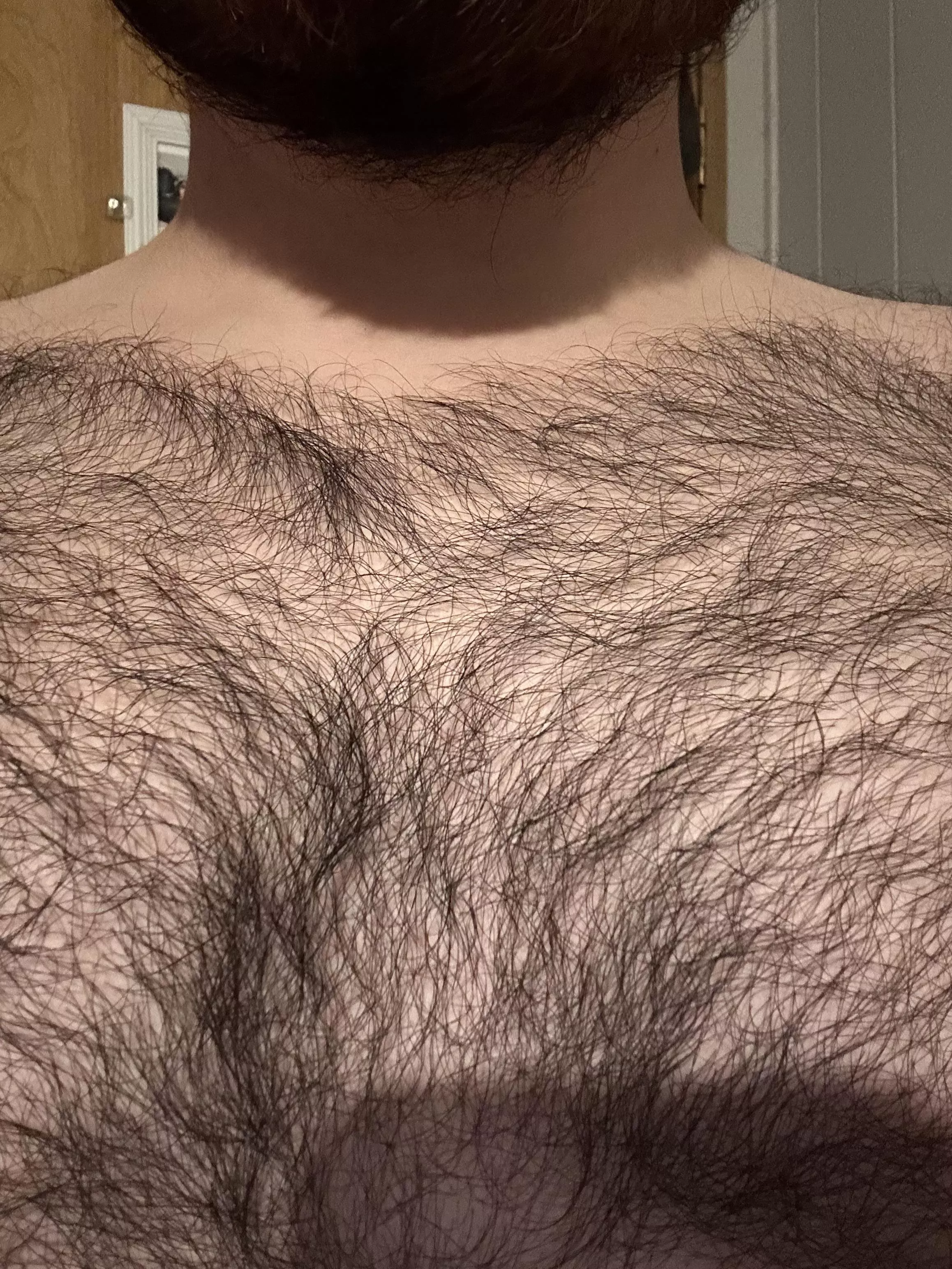 If you have chest hair and keep it trimmed what guard/level do you prefer?