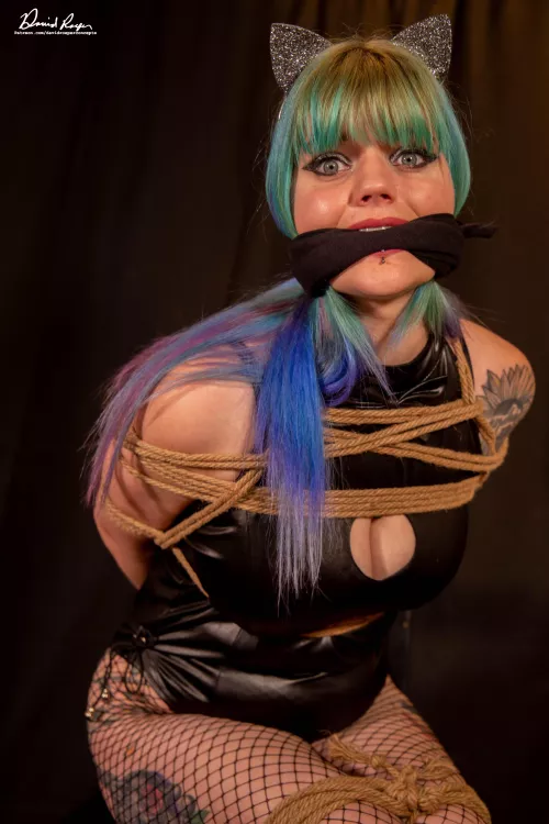 No more biting for this kitty.