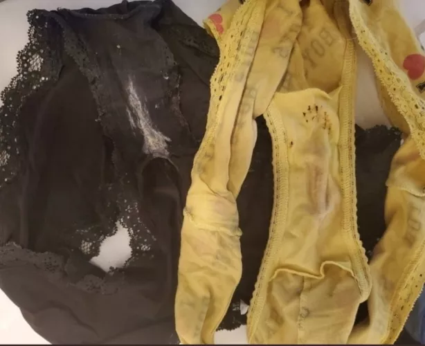 One of my favorite things to do when sniffing dirty panties is sniff a mom's and her offsprings at the same time, the mom's are the yellow ones