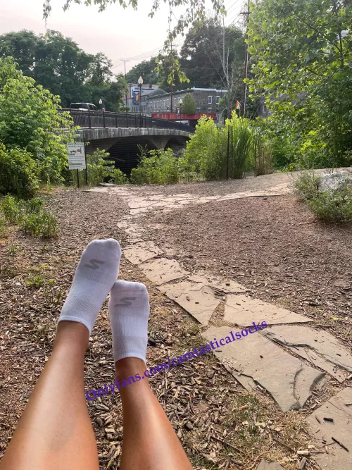 Sketchers White No Show Socks