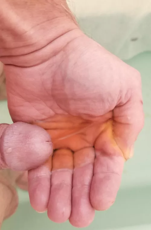 Take a sip from my hand