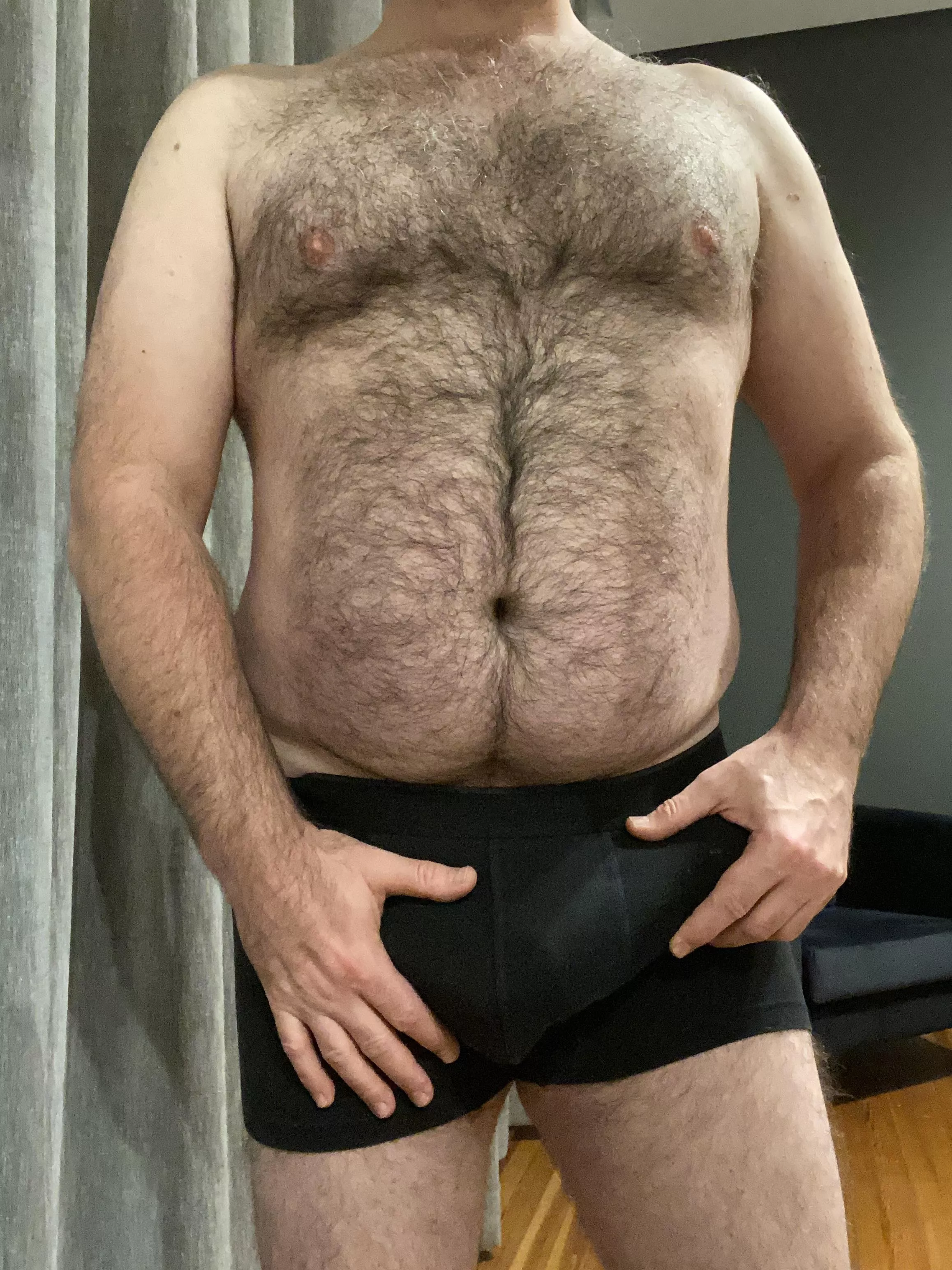 [45M] German daddy looking for a hot young lover. I am a chubby, very hairy bear and prefer slim, skinny, normal and athletic guys. I am based in Berlin. Open for friendships, fun or love.