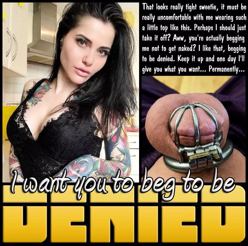 BEG TO BE DENIED [chastity] [femdom] [permanent]