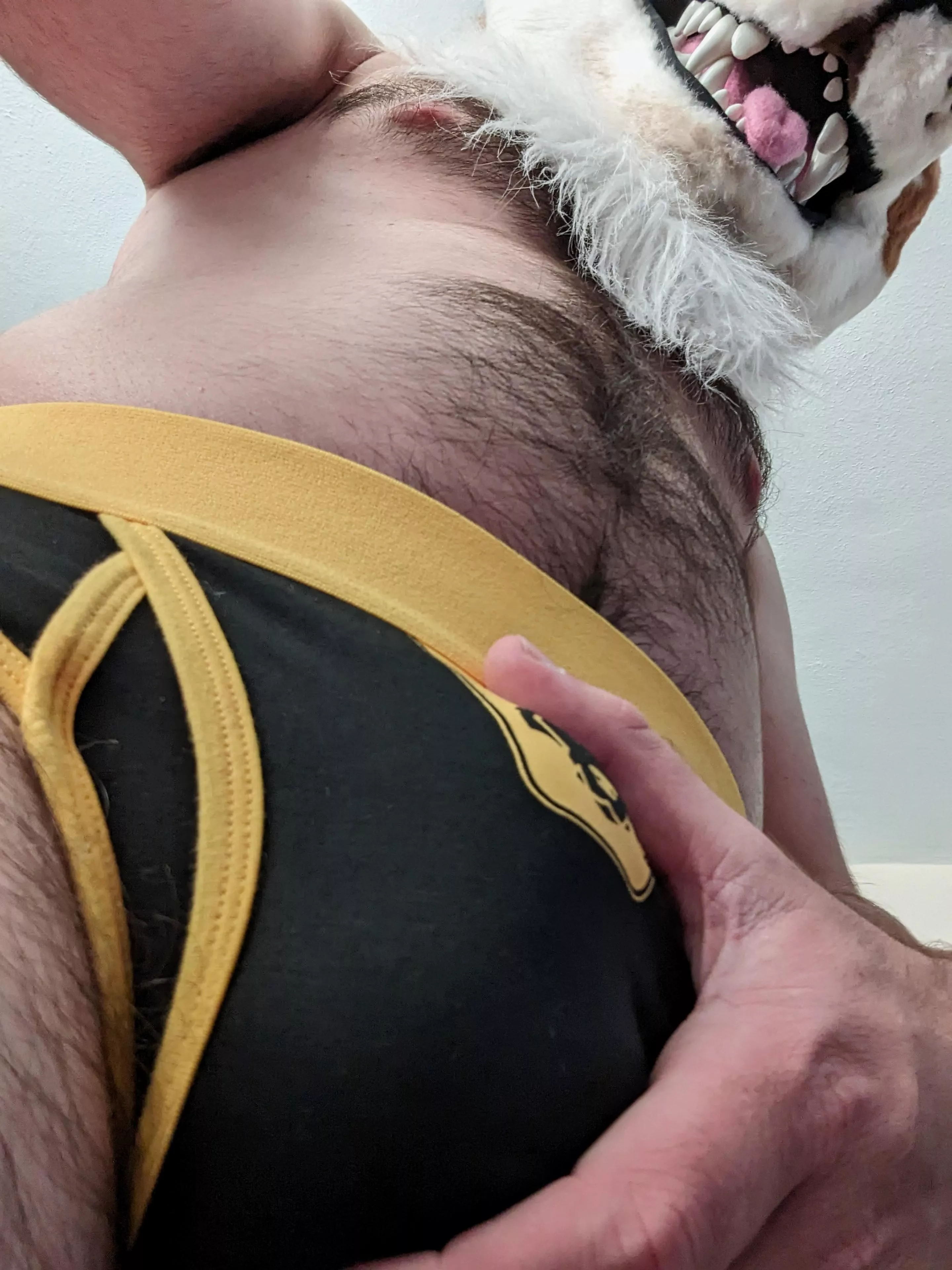 Come touch it pup, I don't bite~