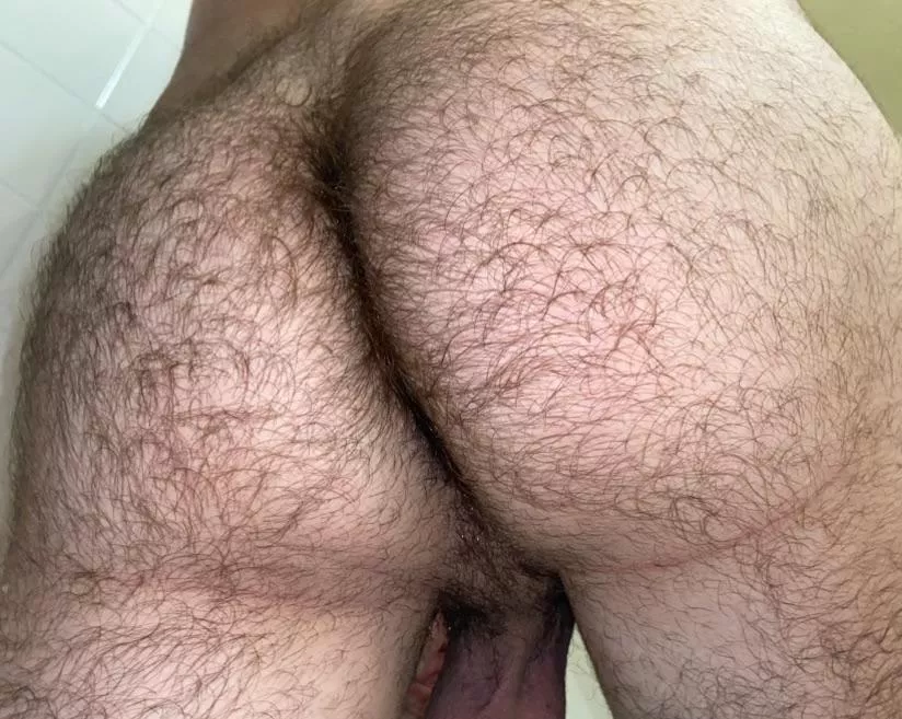 Love having a hairy ass
