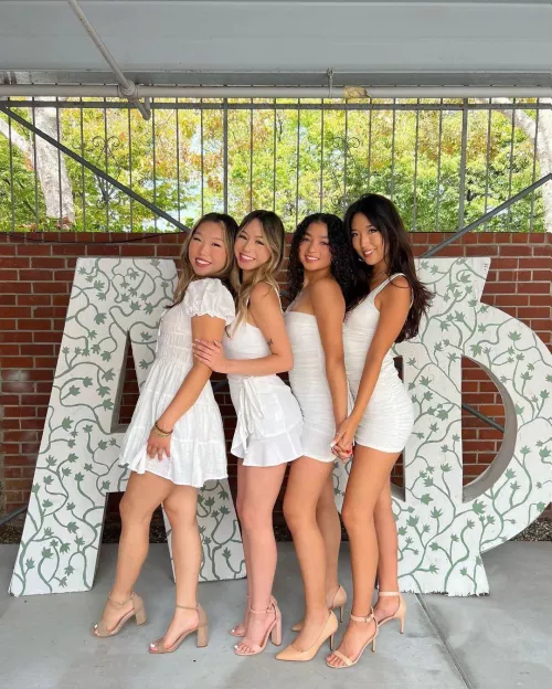 Sorority Babes