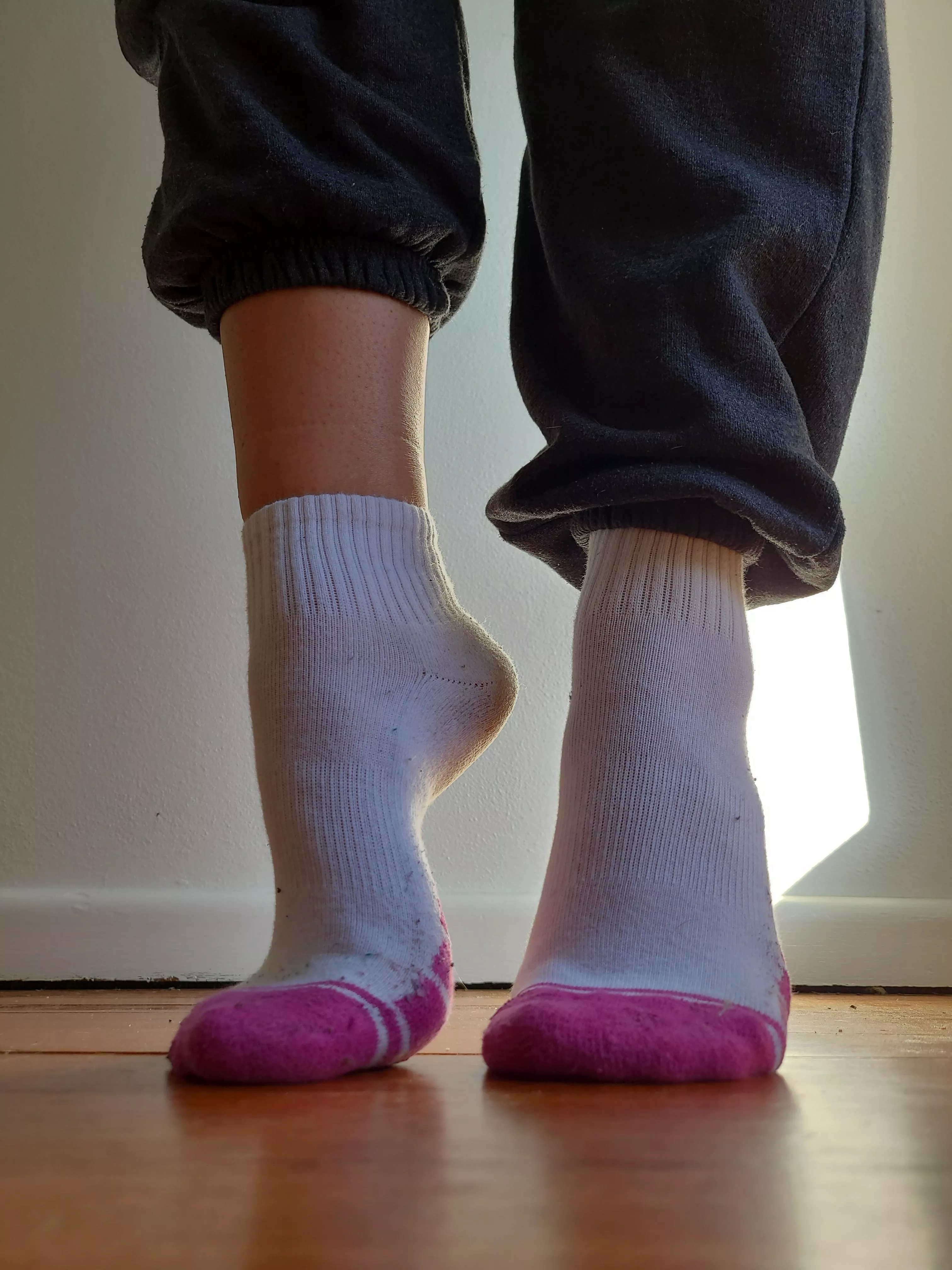 These babies smashed a 6km walk today 😬