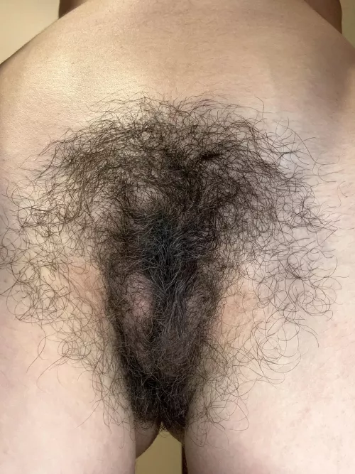 Very hairy bush