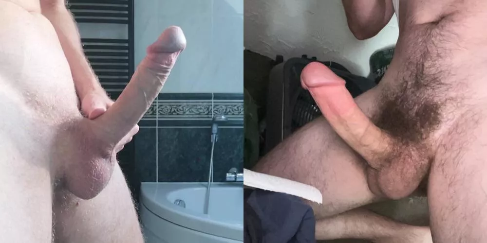 Which cock would you rather , left or right?