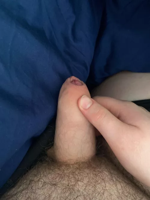 What do you think? 18