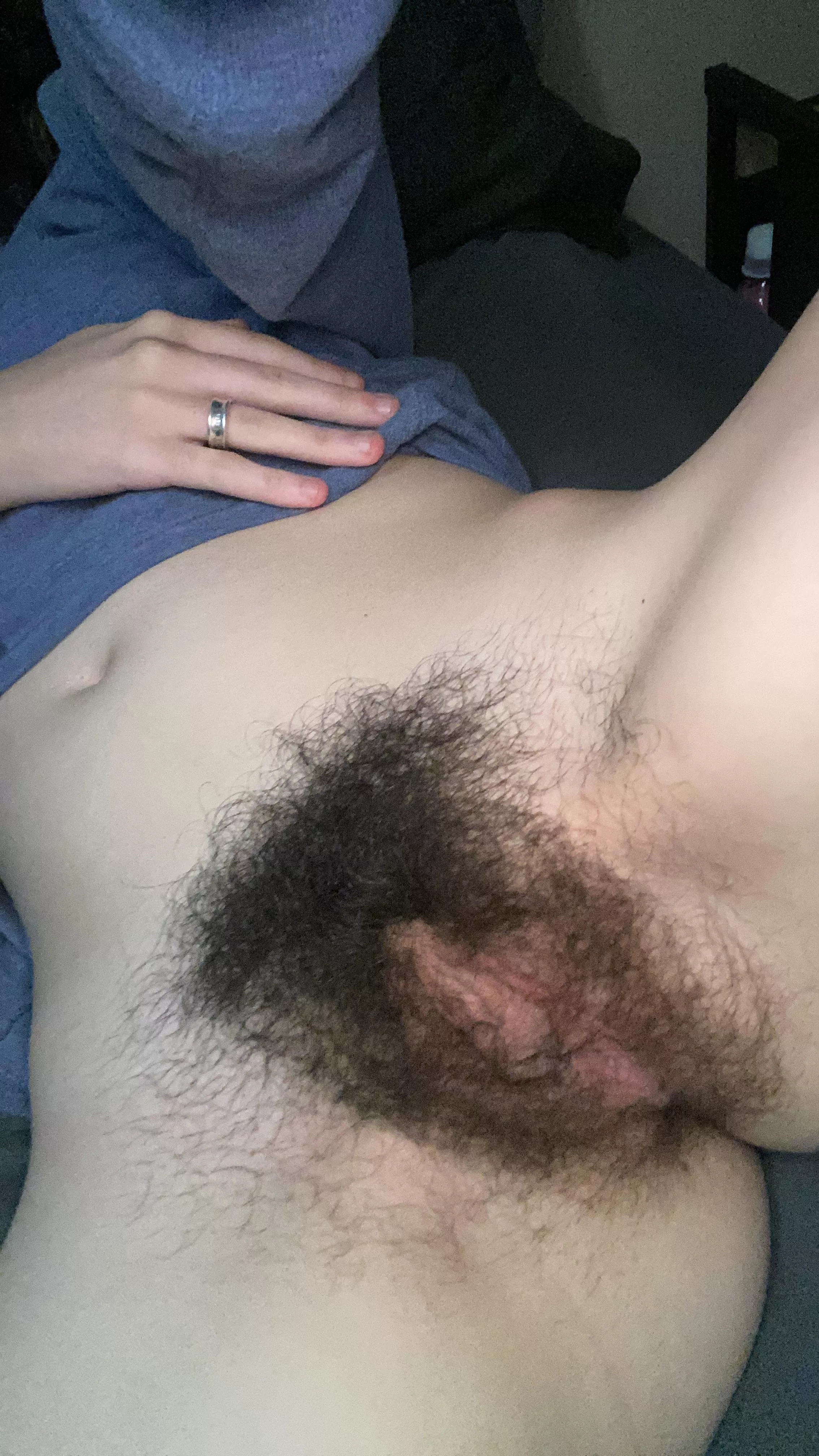 What do you think of my bush?