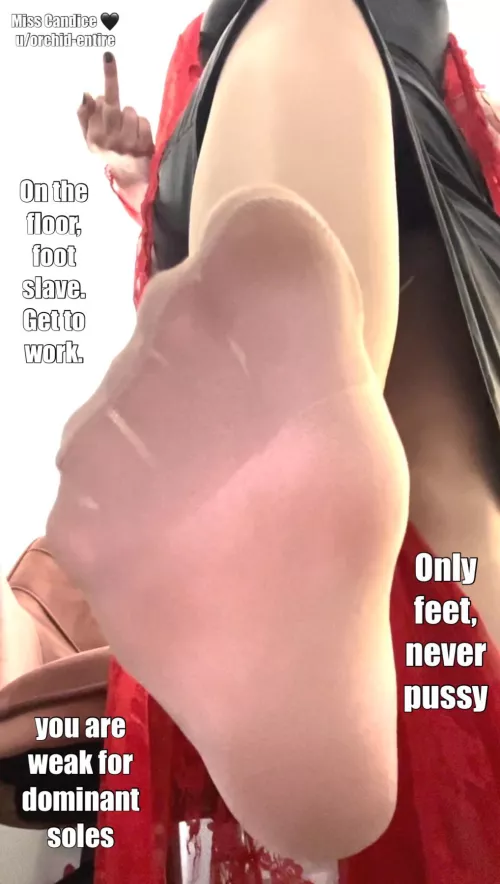 you are weak for dominant soles but when I add stockings to that, your weakness becomes even more evident.