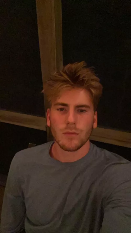 20m why did the bee marry?