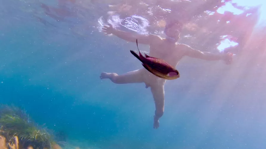 Wife managed to snap this photo of a fish while we were skinny dipping in Greece 🇬🇷 😁