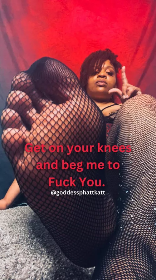 Beg Me