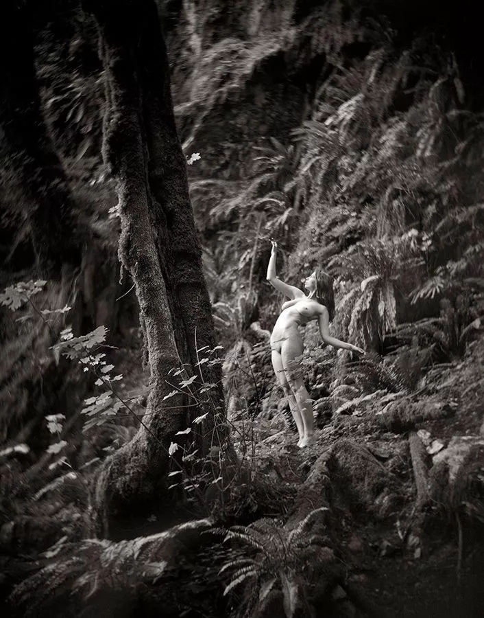 Can you spot me? By ModelAdventurer