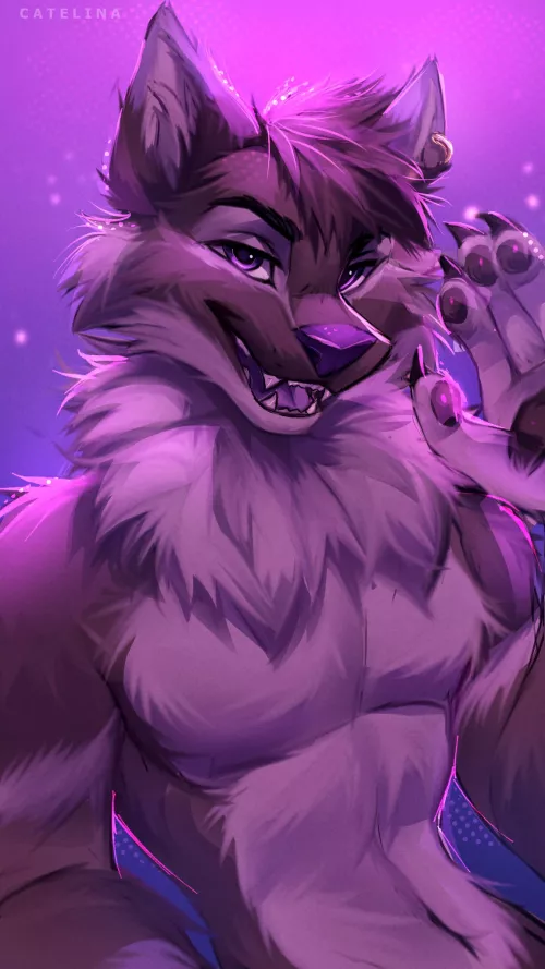 Dazzling DL [Catelina]