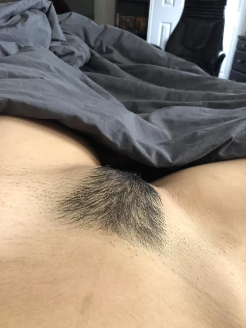 just my fuzzy little patch!