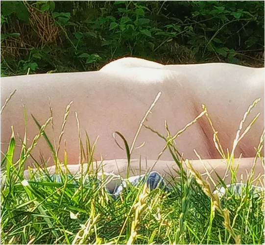 My hill in the grass 😉