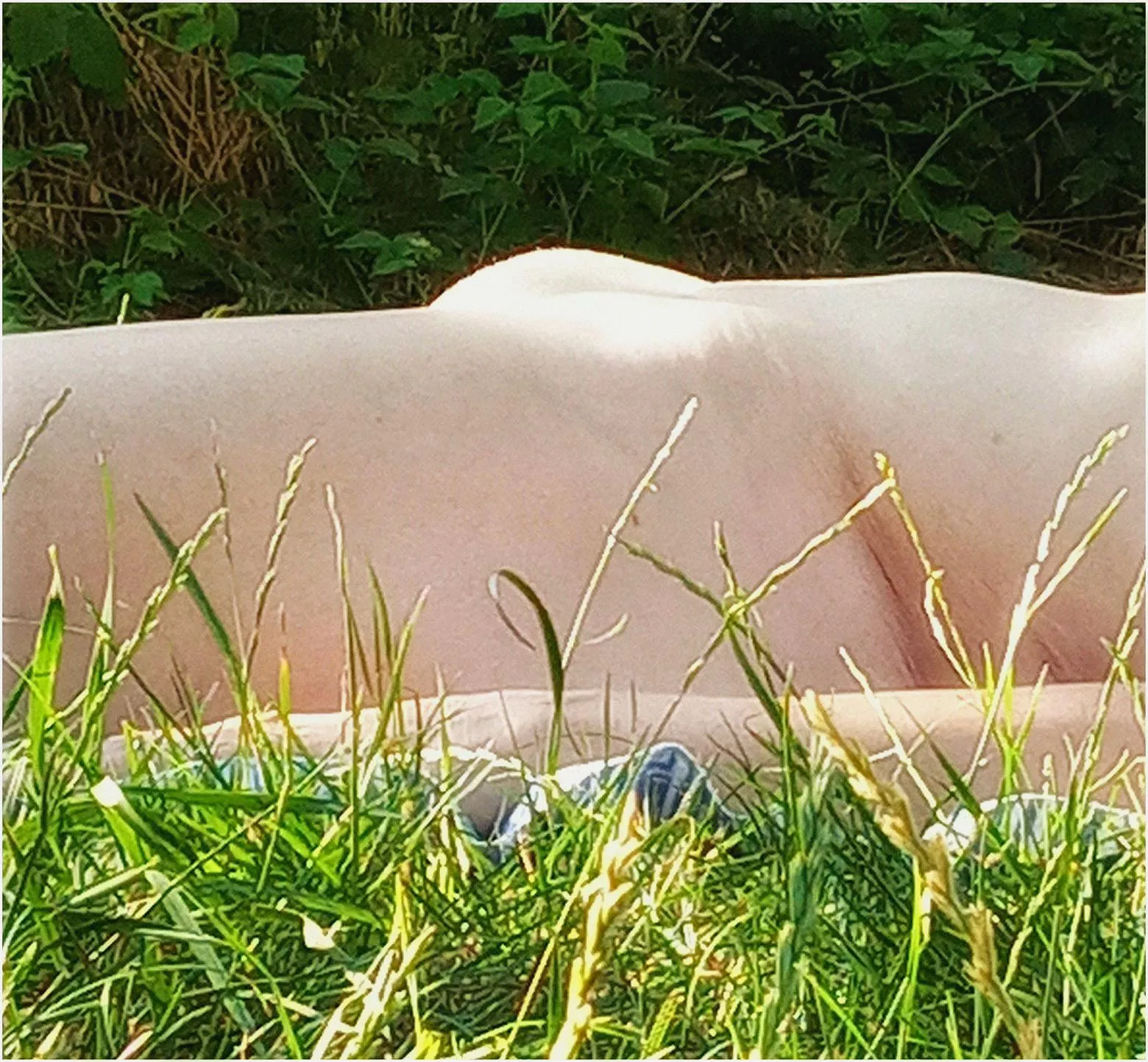 My hill in the grass 😉