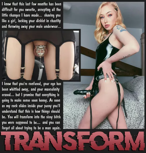 TRANSFORM [chastity] [sissy] [pegging]