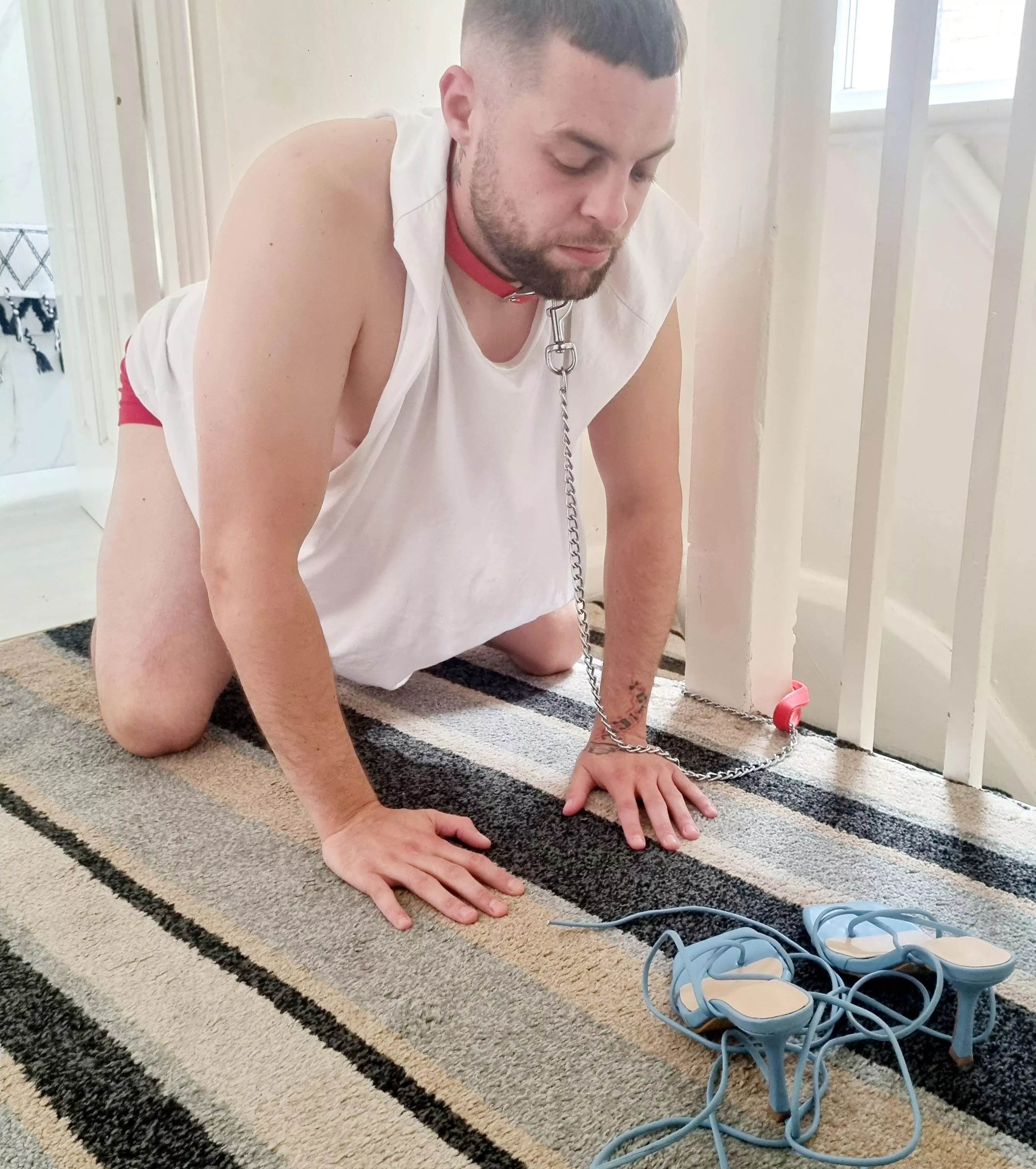 Waiting for me to inspect after he cleaned them with his tongue 👅