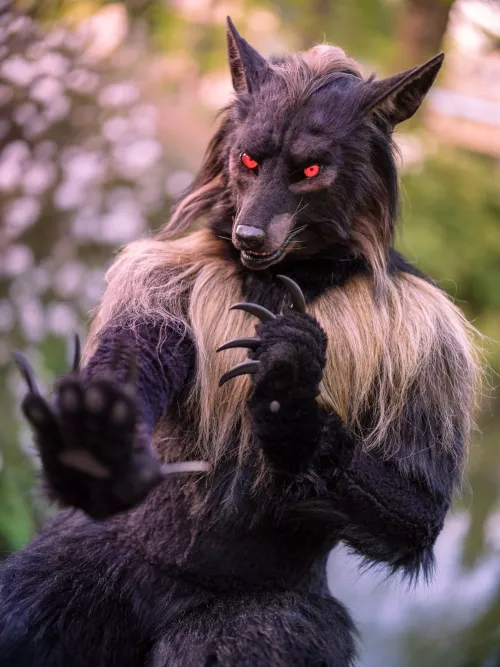 Would you like a massage? (OC @shaqualhound on twitter)