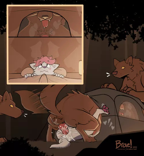 Camping trip gone right (by Braeburned)