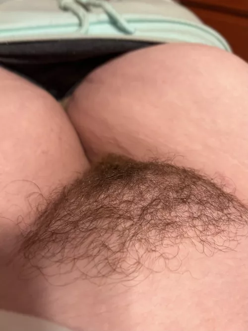 It’s becoming a jungle