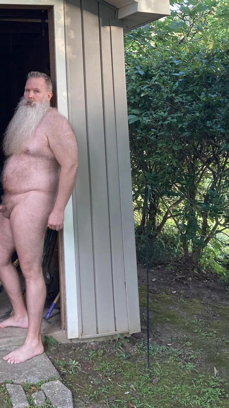 Meat you in the shed