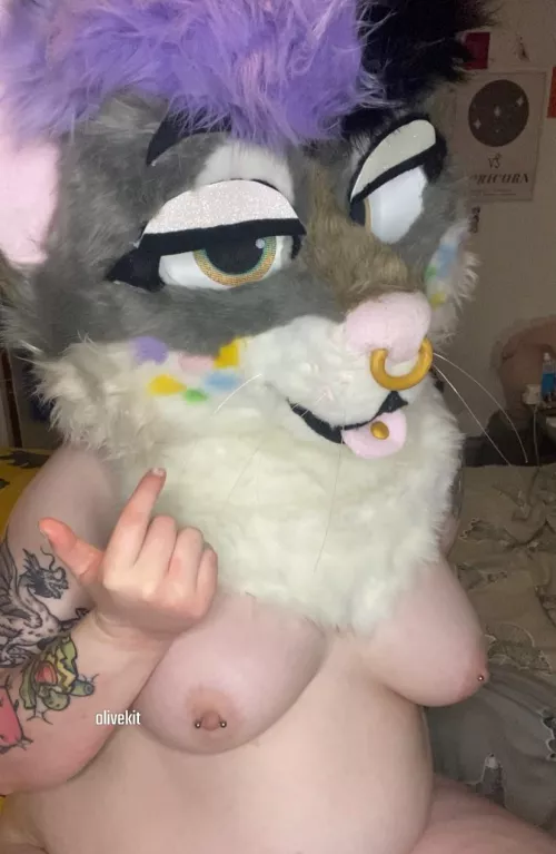 Spicy lil bobcat wants you to play with them ✨