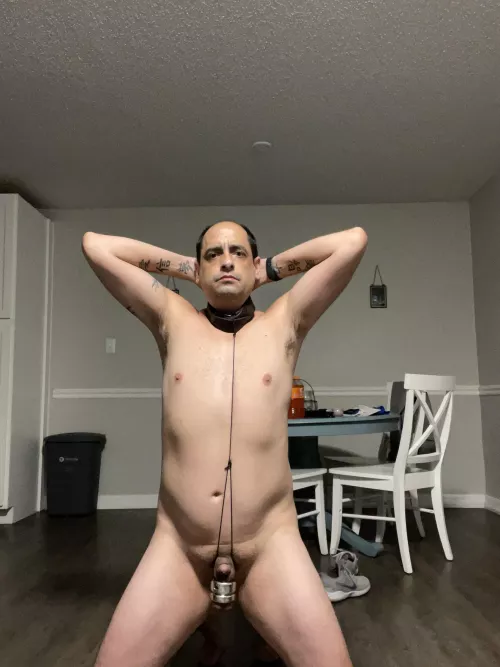 Submissive bottom here