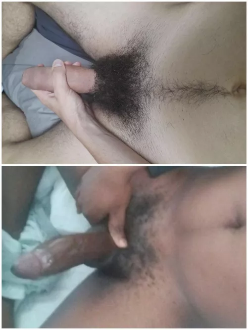 Which one do you prefer and why?