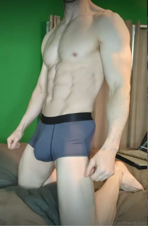 Bulge in Boxer Briefs